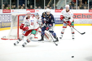 (Ravensburg Towerstars) (Eisbaeren Regensburg)